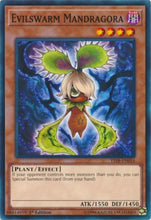 Load image into Gallery viewer, Evilswarm Mandragora [YS18-EN016] Common
